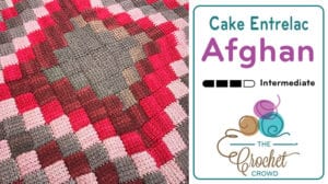 Crochet Caron Cakes Entrelac