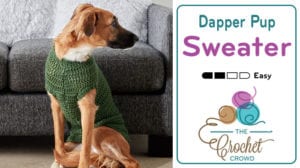 Crochet Dapper Pup Dog Sweater