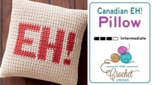 Crochet Canadian EH Pillow
