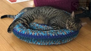 Crochet Padded Rim Cat Nap Bed