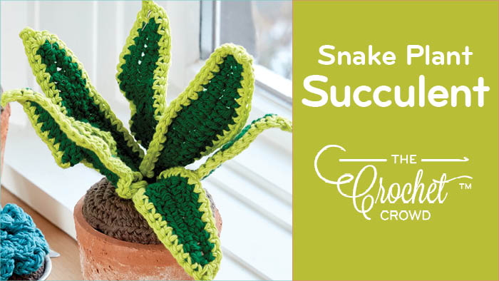Crochet Snake Plant Succulent