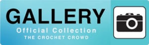 The Crochet Crowd Gallery